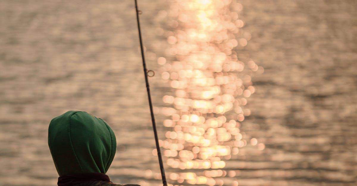 Få det bedste ud af din fisketur med Topgrejs fiskestang